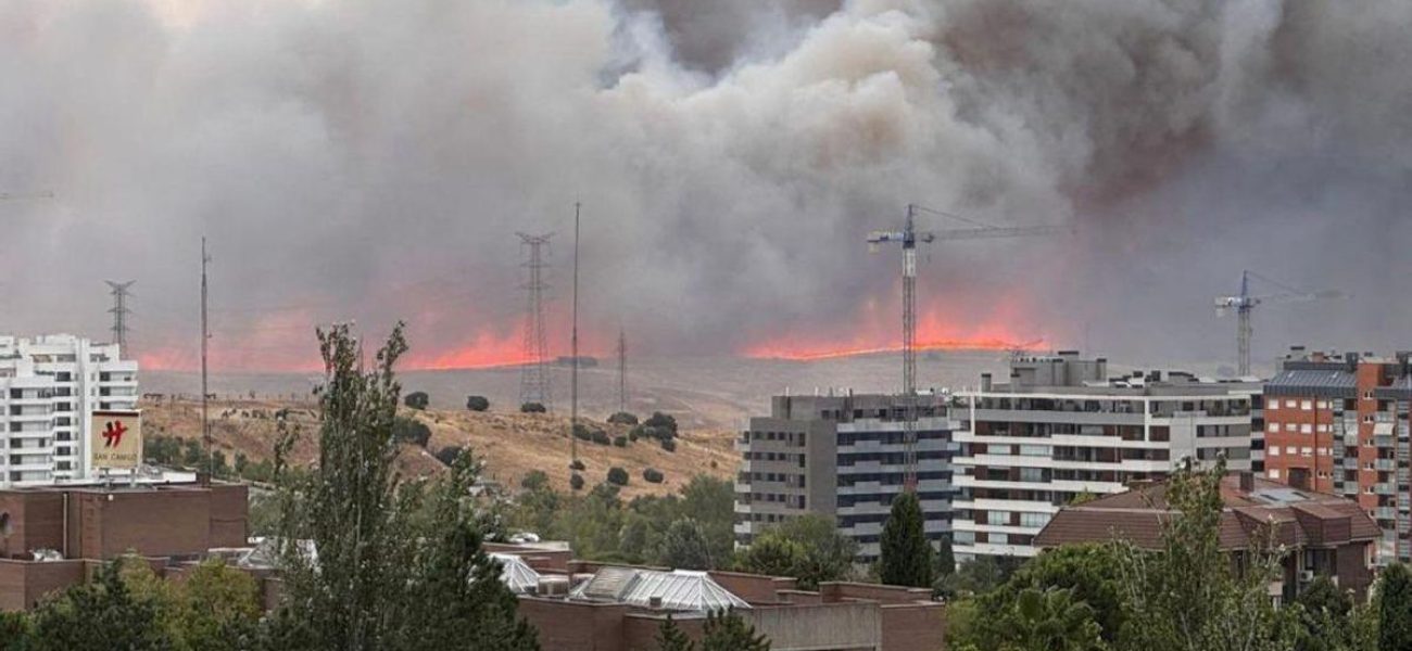 6f7c36a3-ff3c-48ce-9cf2-47469d7f9528_alta-libre-aspect-ratio_default_0