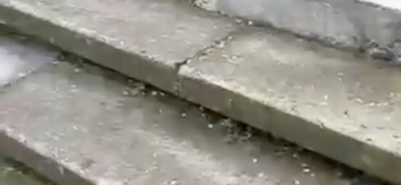 Captura de pantalla 2025-04-28 a las 11.29.31