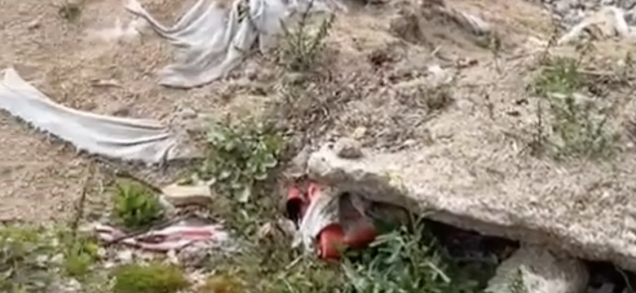 Captura de pantalla 2025-05-19 a las 14.09.55