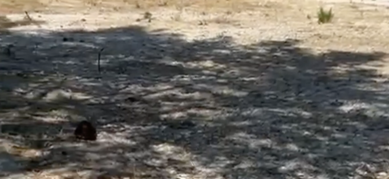 Captura de pantalla 2025-09-03 a las 11.02.20