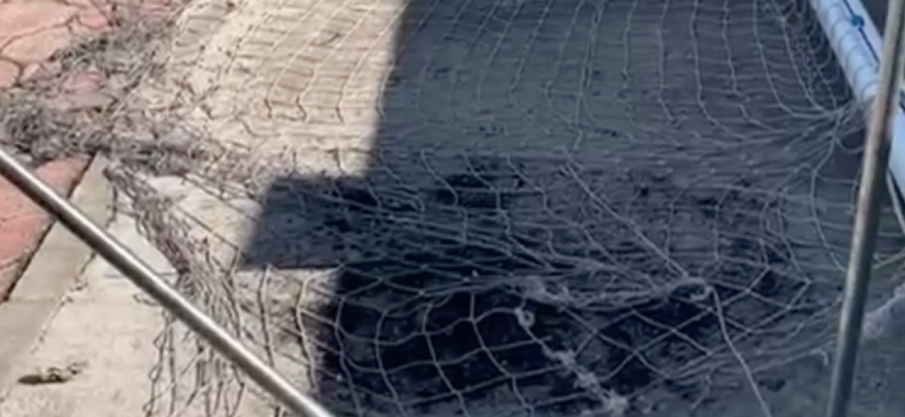 Captura de pantalla 2025-09-29 a las 10.08.14