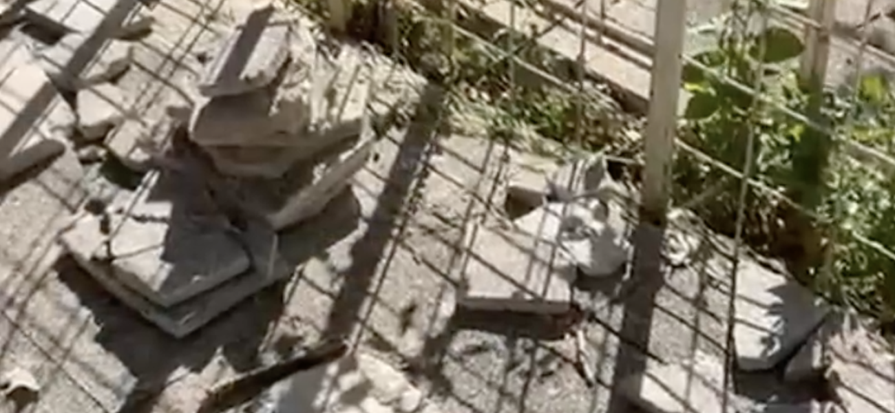 Captura de pantalla 2025-10-03 a las 9.46.16