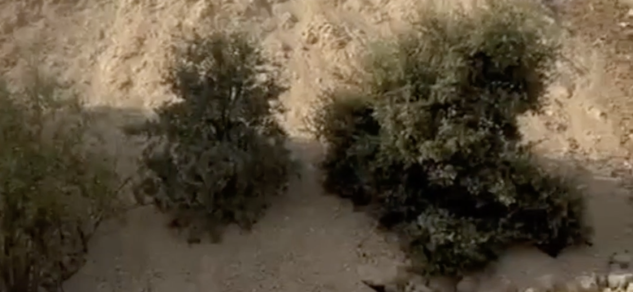 Captura de pantalla 2025-12-19 a las 10.29.39