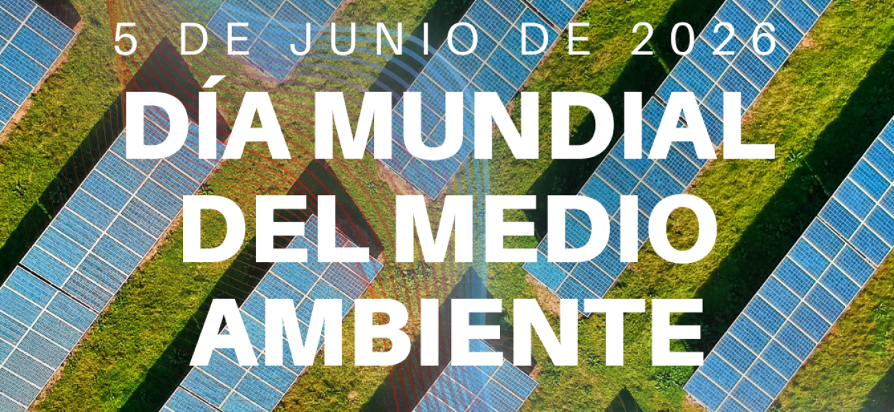 DÍA MUNDIAL MEDIOAMBIENTE II