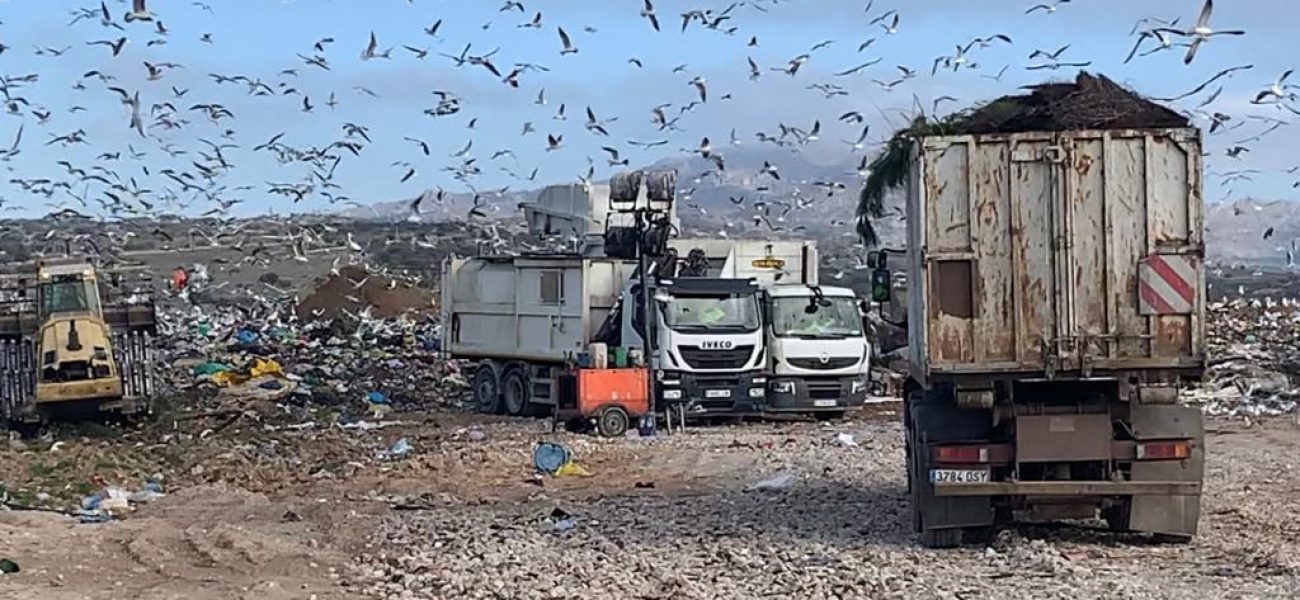 WhatsApp-Image-2020-02-06-at-14.51.54