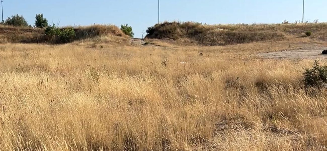 WhatsApp Image 2025-08-07 at 10.52.58