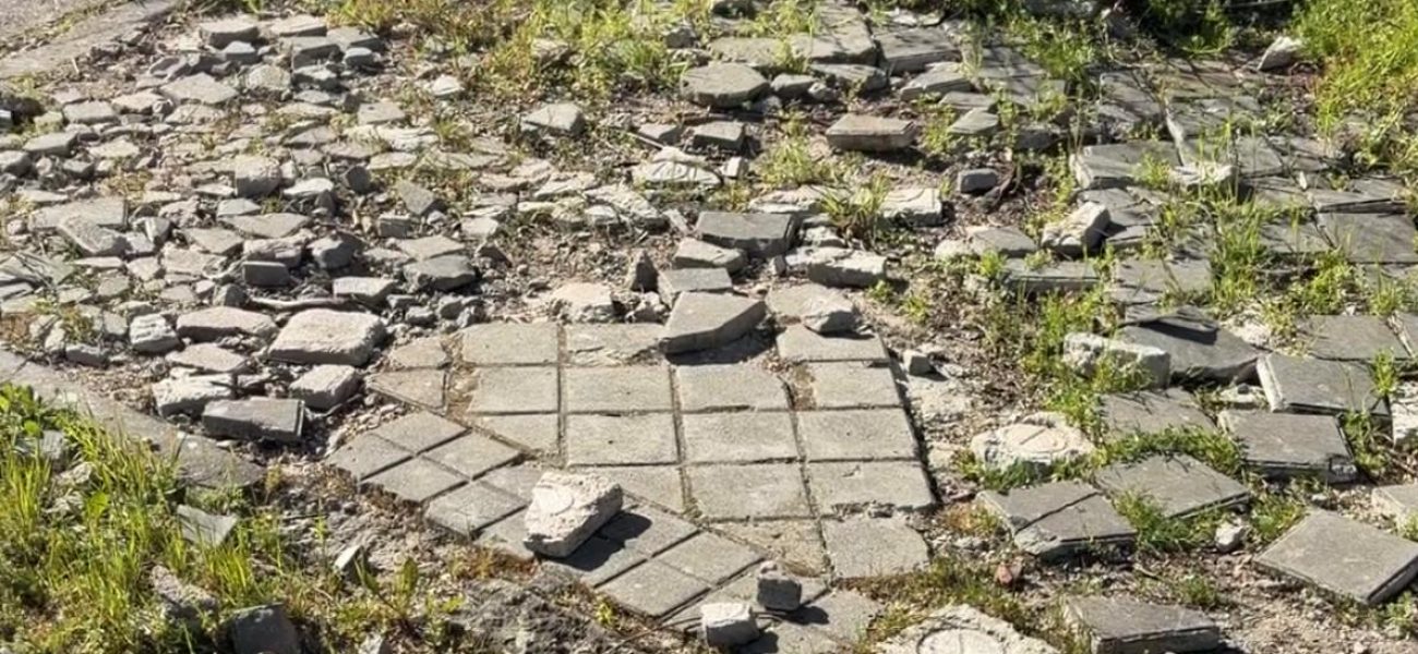 WhatsApp Image 2026-04-08 at 10.20.47