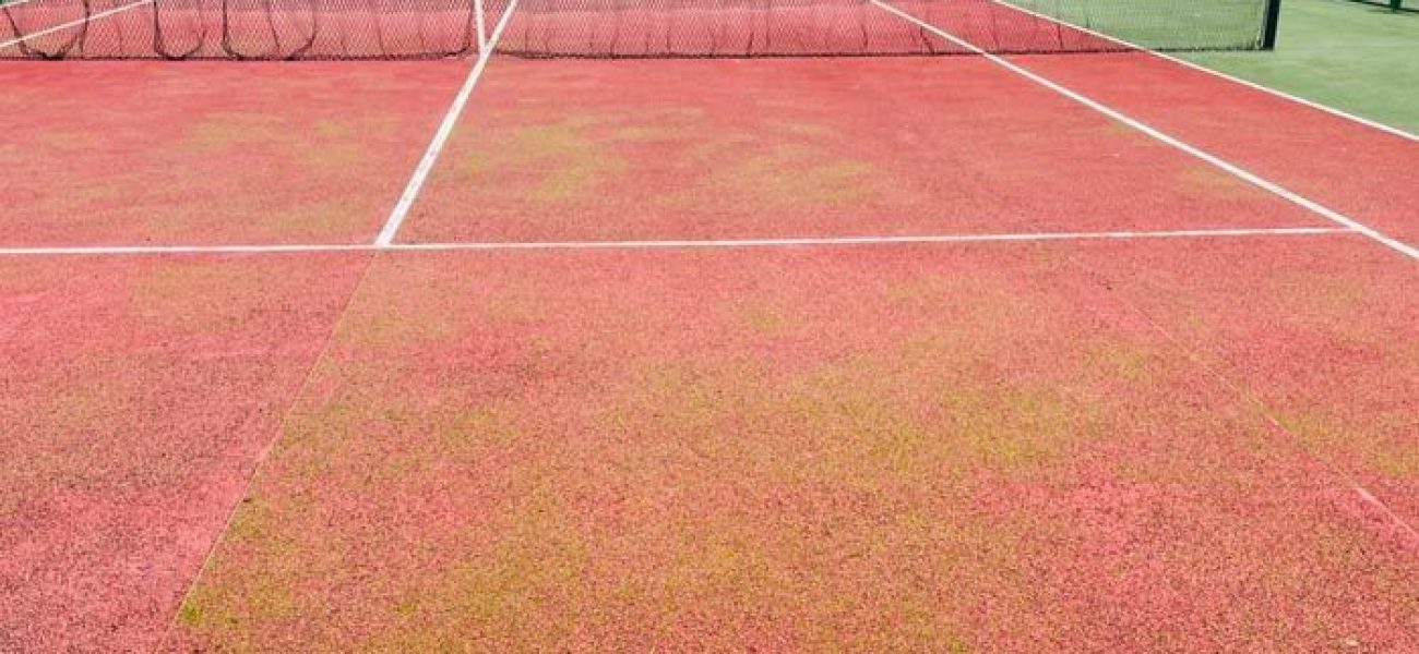 pistas_deportivas_mal_estado_podemos_3c